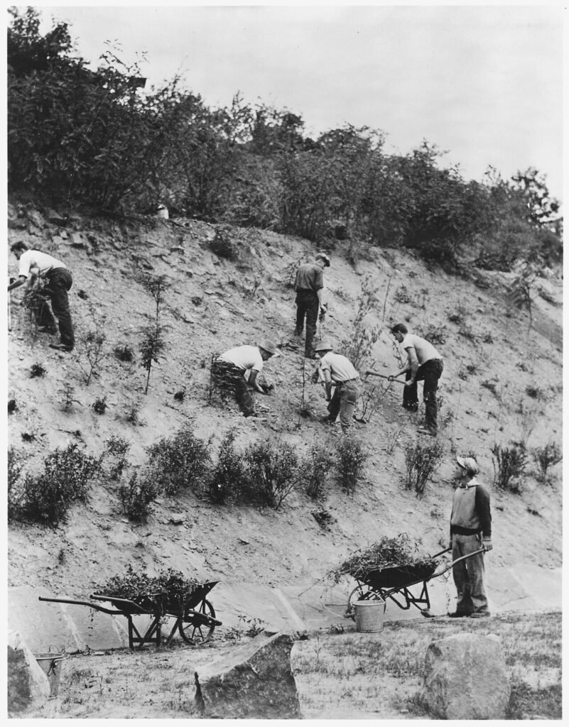 Civilian Conservation Corps enrollees working along Route 120 near Pottsville, Pennsylvania, about 1933
