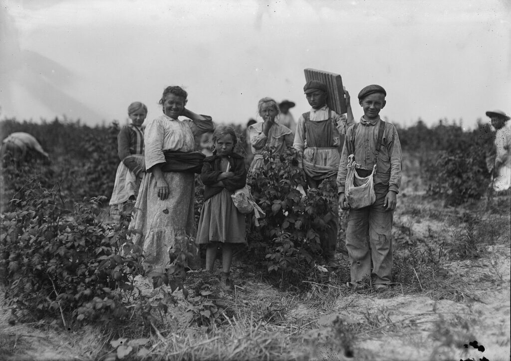 Polish immigrant mother and children standing in a Maryland berry field, 1909