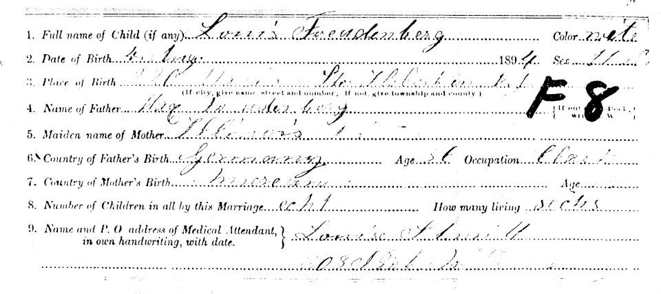 1894 New Jersey birth certificate for Louis Freudenberg with mother's maiden name and parents' origins