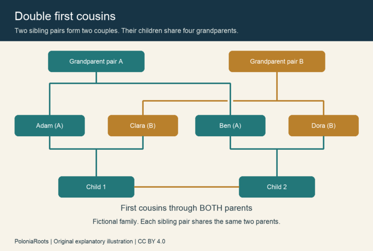 Fictional double first cousin diagram showing two shared grandparent pairs