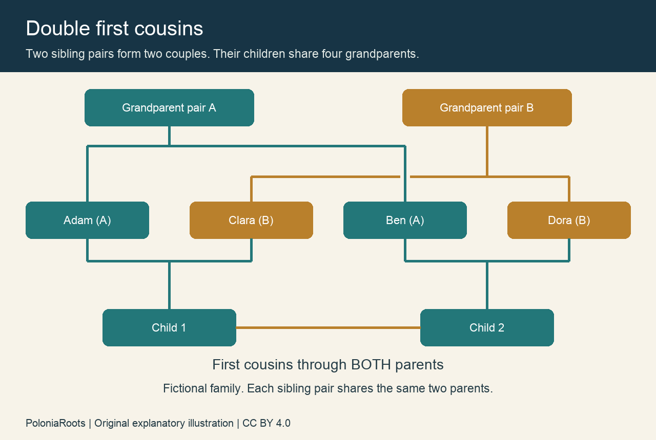 Fictional double first cousin diagram showing two shared grandparent pairs