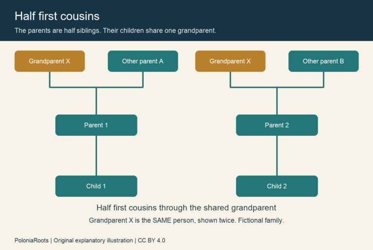 Fictional half first cousin diagram showing one shared grandparent