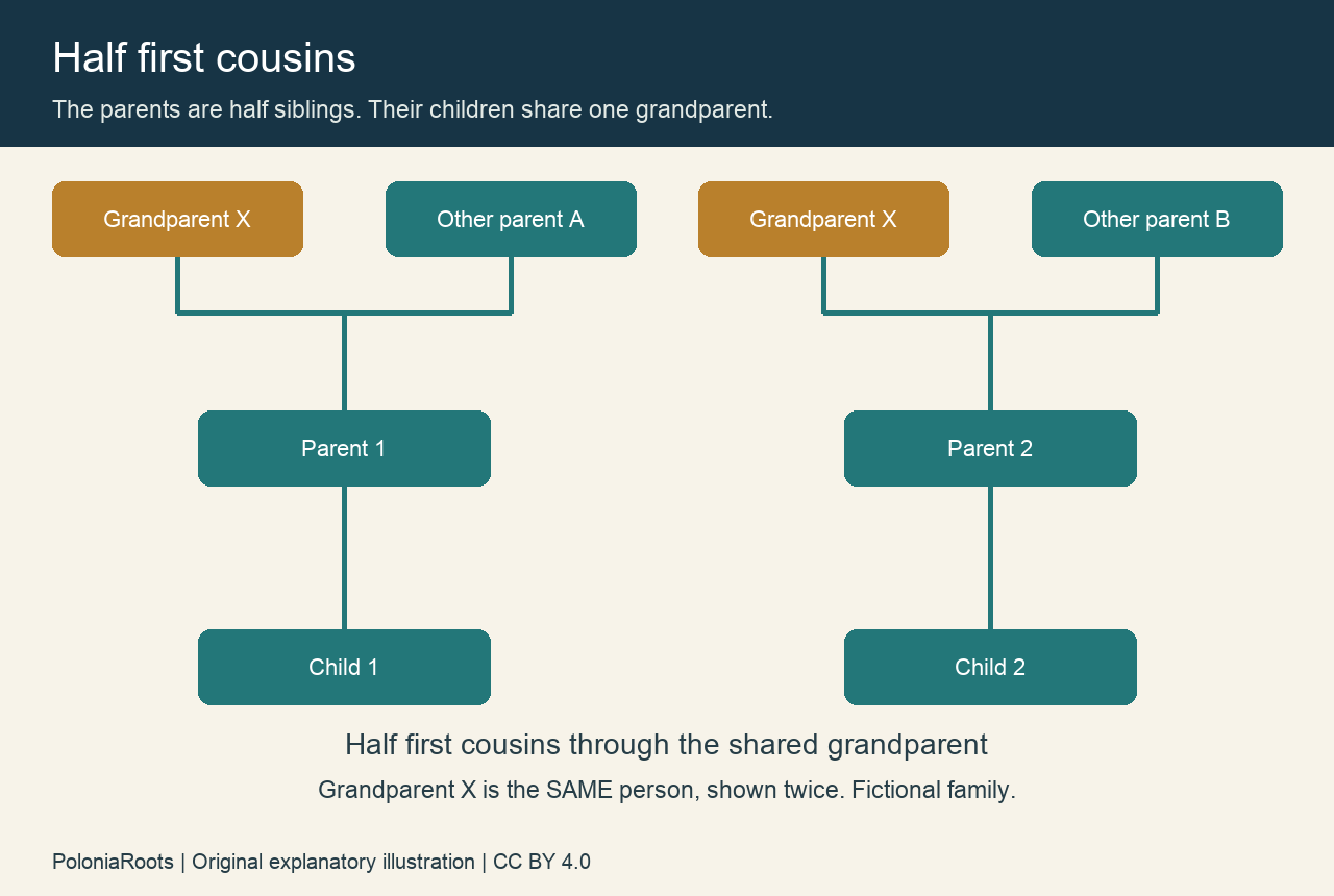 Fictional half first cousin diagram showing one shared grandparent